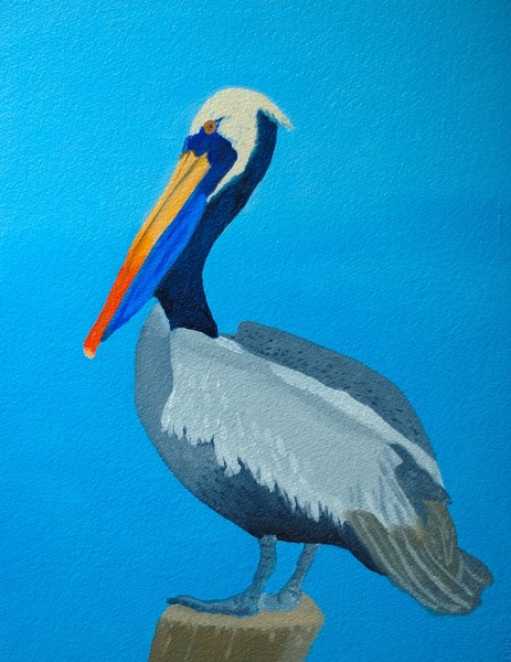 Pelican Blue's