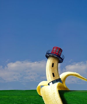 Edible Watch Tower