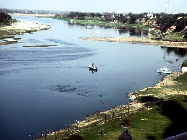 sailing towards Taj