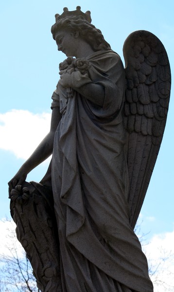 Guardian 3