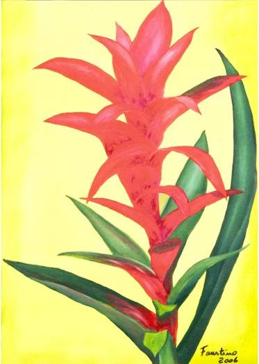 Pequena Flor de Bromélia