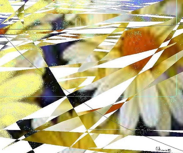 flowers go boom !
