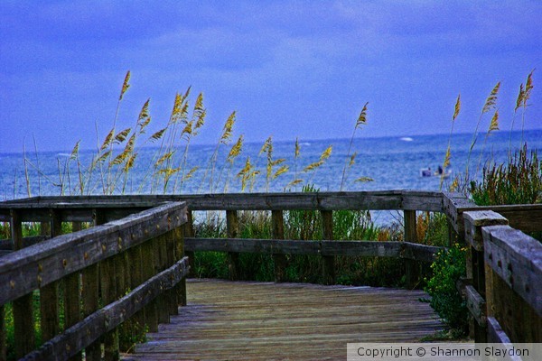 Dock to the Ocean, Daytona Beach, Florida