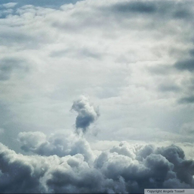 Pugsley in the sky