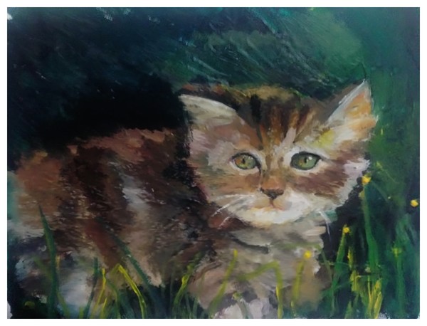 Catxxo