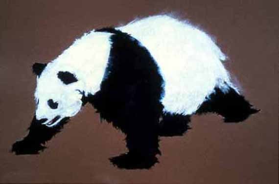 Panda_resized