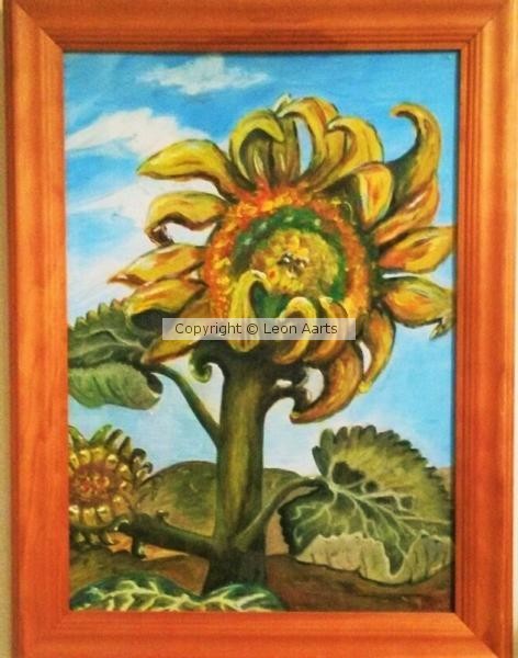 Sunflower