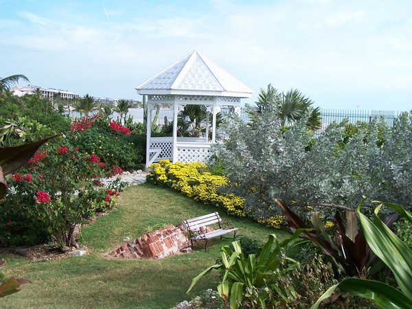 The Garden