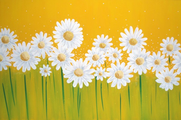 Daisies