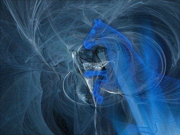 VIRTUAL HORSE