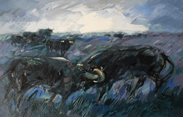 Bulls fighting to the dawn 