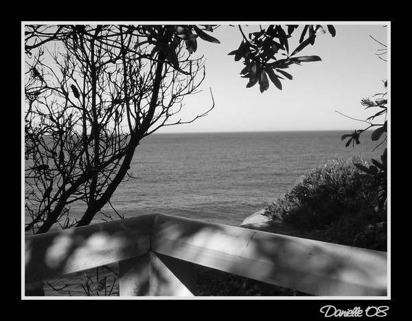 Hiding Place...
