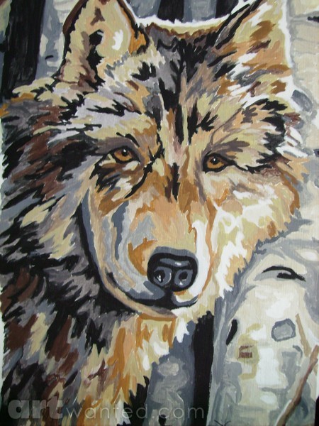 wolf