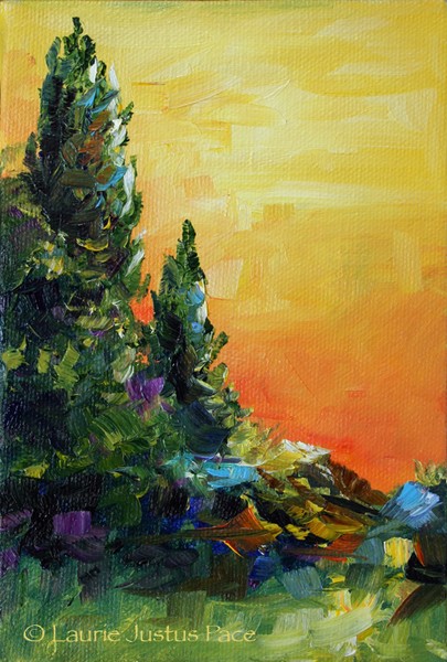 Cedar Sunrise