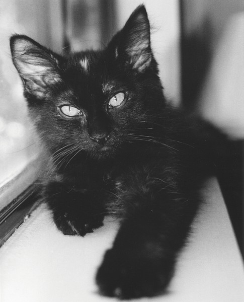 windowsill