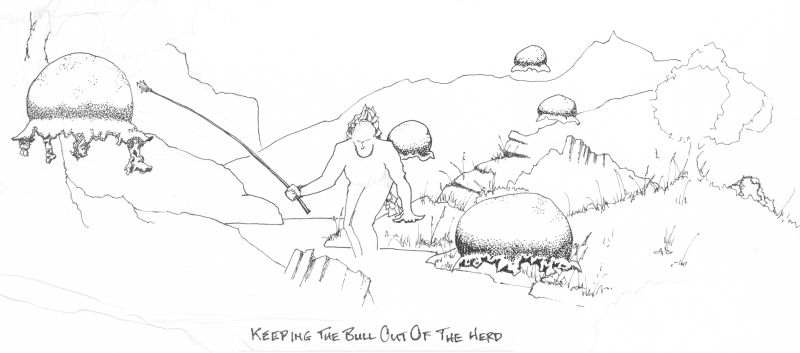 Keeping the bull out of the herd