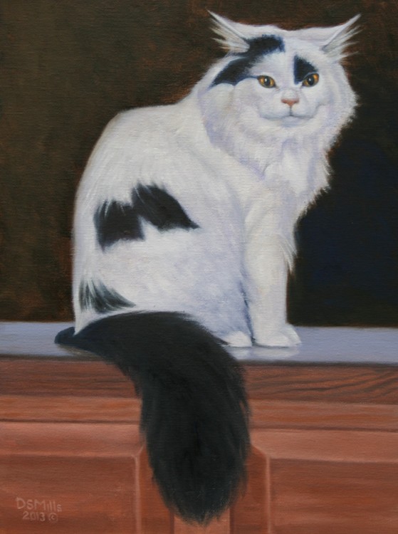 Gato Diablo
