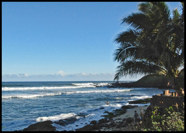 SEASCAPE IN HAWAII