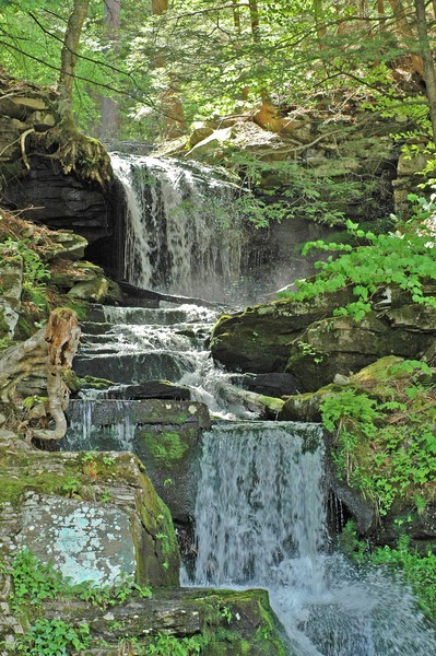 Humble Nature