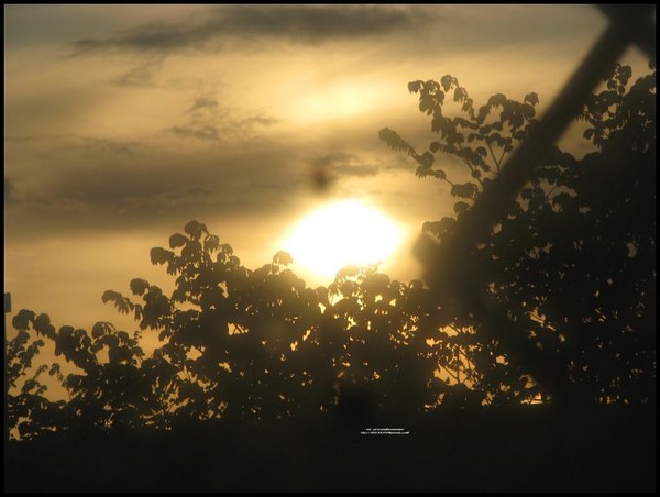in other light..every night...