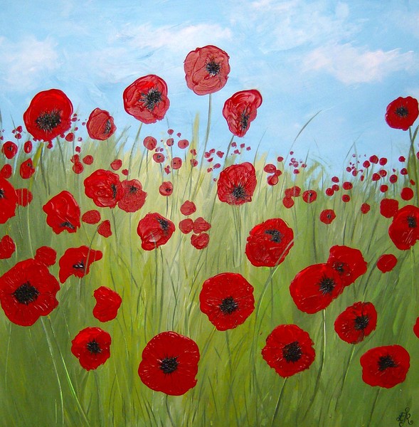 Sacrewell Poppies