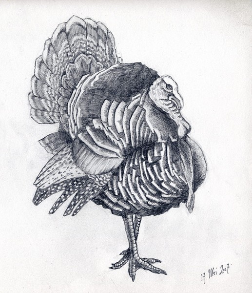 Turkey