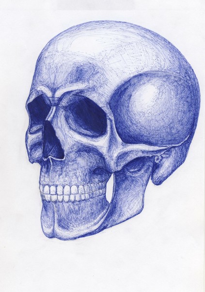 Skullie