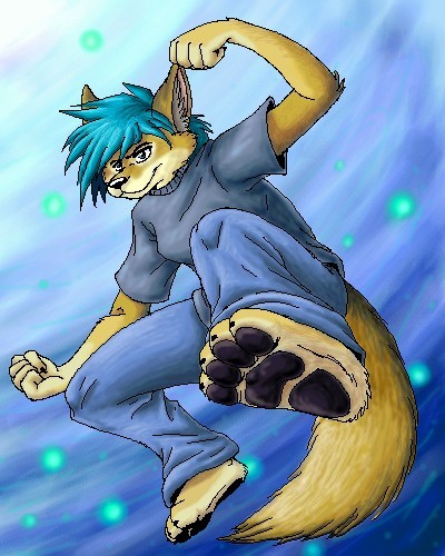 Toki the Mearn's Coyote
