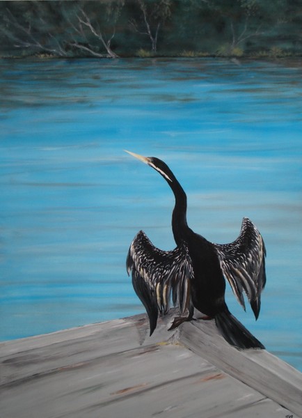 The Cormorant and The Swan