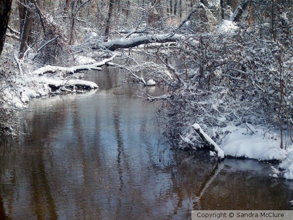 Icy Creek