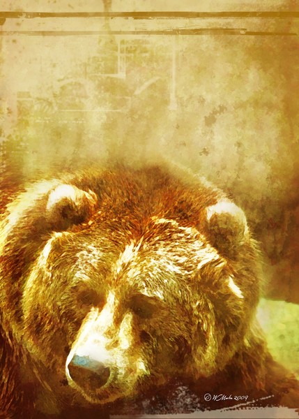 Grizzly-Wash Painting