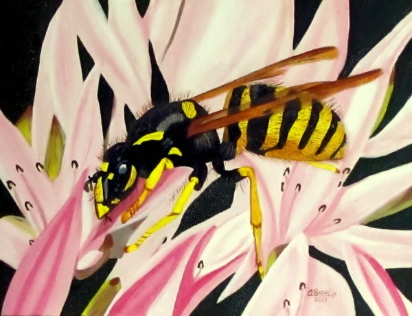 Wasp