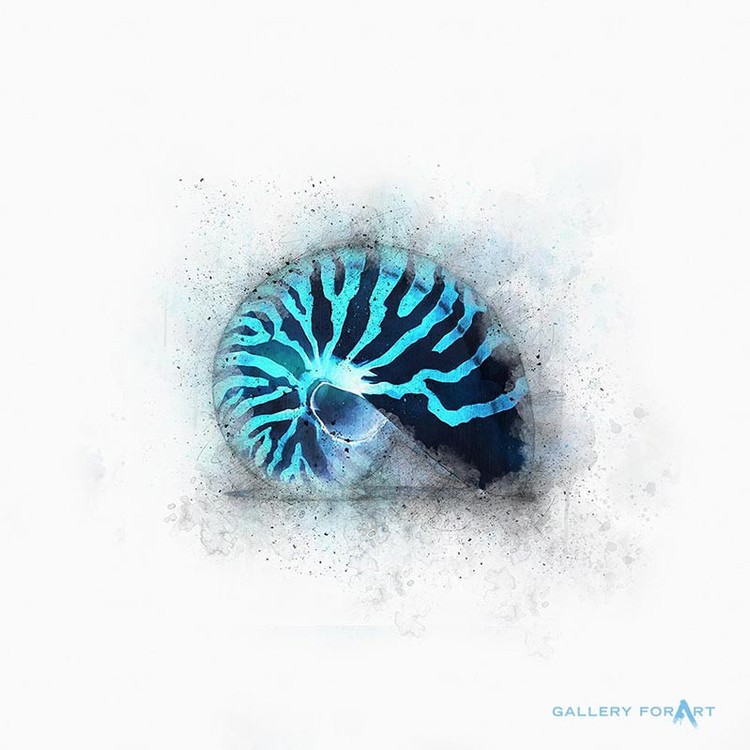 SHELL BLUE-WHITE NAUTILUS-RED