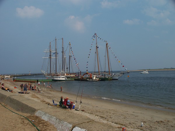 fishing by the tall ships
