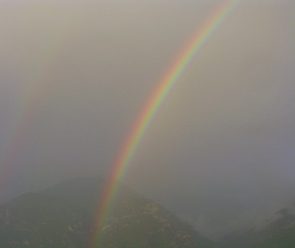 Rainbow
