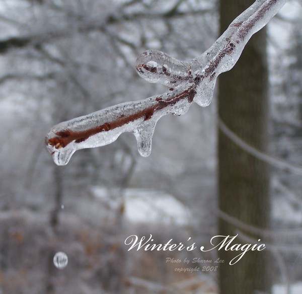 The magic of winter