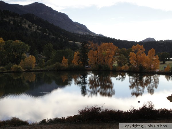 Fall Foilage Sept 2011 My camera 048