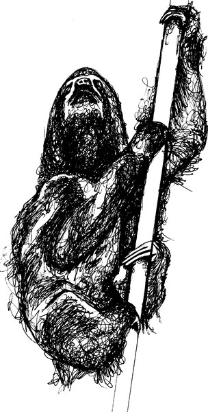 sloth1