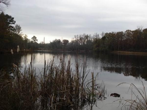 by the lake while visiting family