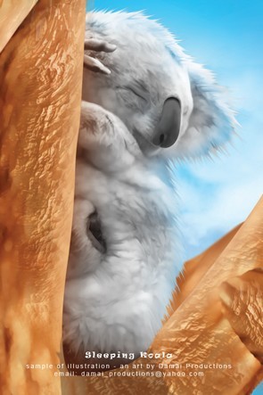 sleeping koala