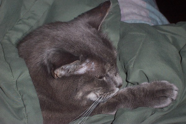 Sleepy Time Girl