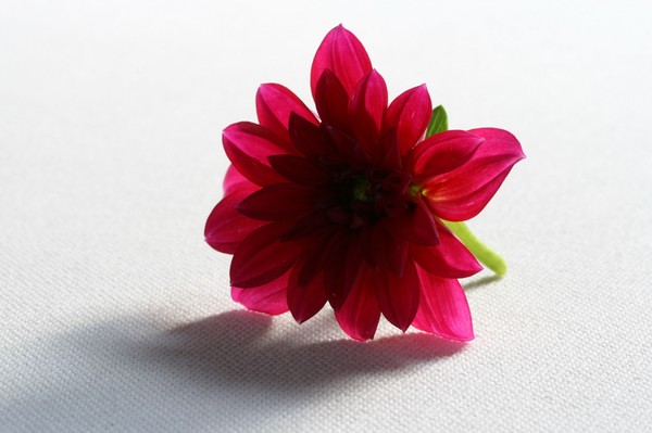 Ruby