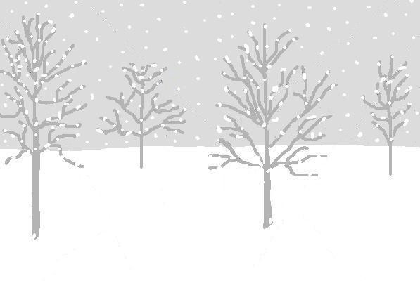 A Winter Scene