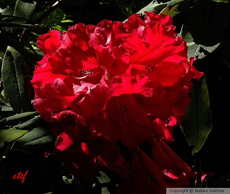 red-hot