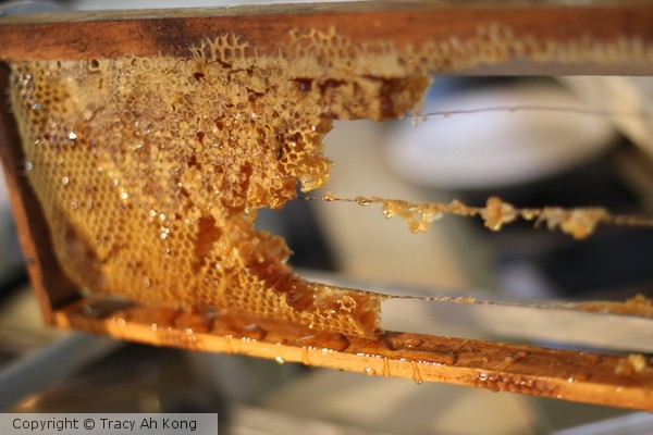 Sweet Honey