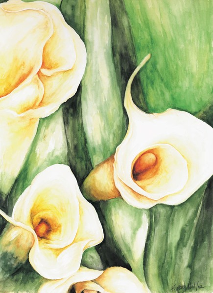 Calla Lily