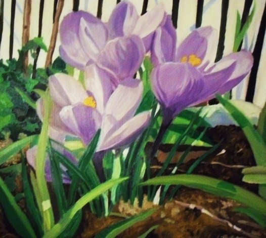 Crocuses