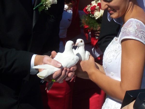 handfull of love