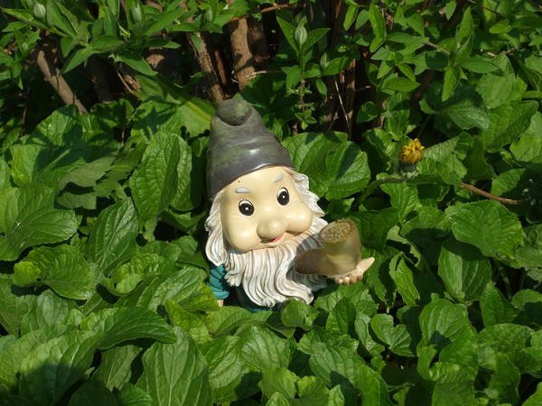 The hidden dwarf