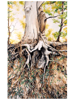 Roots